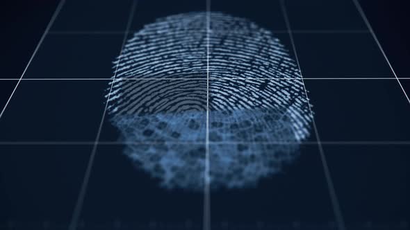A fingerprint is being analysed. Print proved to be a match. Access granted.
