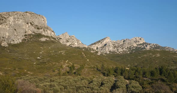 Olives groves, Les Civadieres in the Alpilles range, Provence, France