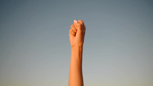 Feminist Woman Hand Clenched Into Fist Protests