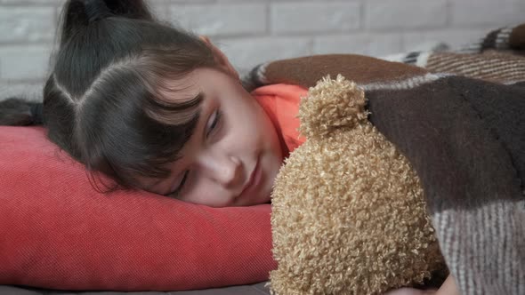 Sleep with Toy in Childhood