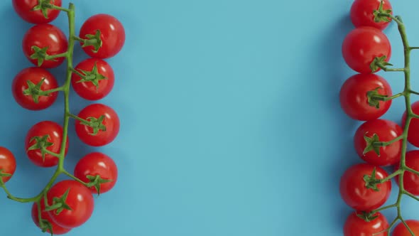 Video of fresh cherry tomatoes with copy space on blue background