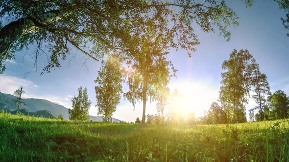 Mountain Meadow Timelapse at the Summer or Autumn Time