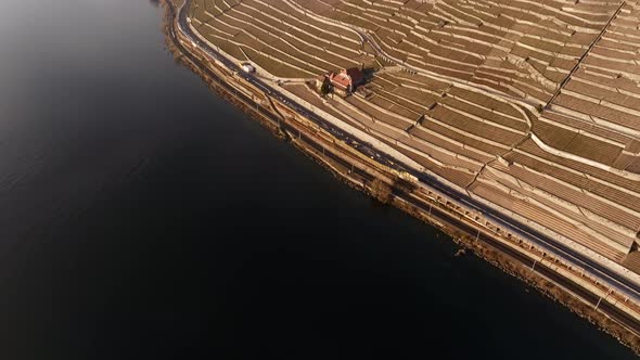 Terraced vineyards in front of a dark blue lake, perfect for opening shot