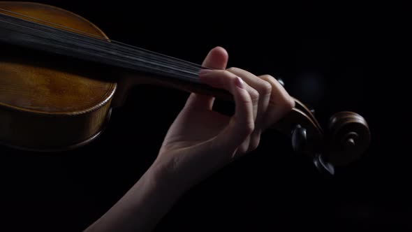 Girl Fingering the Strings Playing on a Violin. Close Up. Black Background