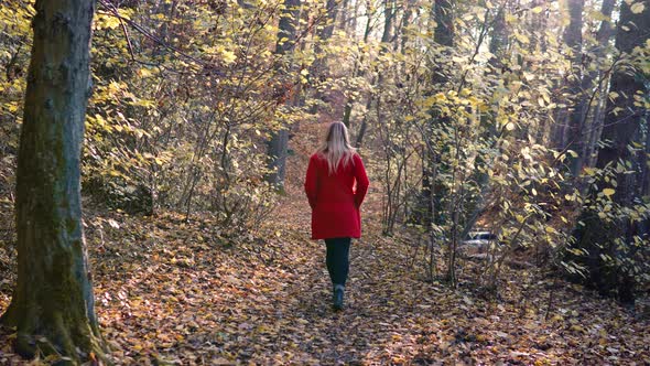 Beautful Young Girl in red coat walking away from camera amidst the orange brown autumn forest woodl