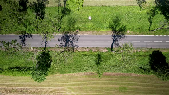 Aerial drone, views the shadows of trees, between farmsland.