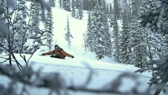 Freeride in Fresh Powder 