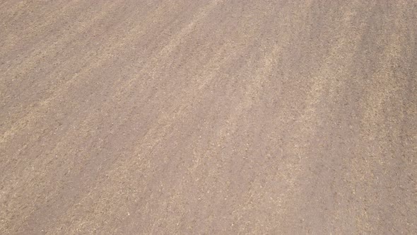 Land in a Plowed Field in Autumn