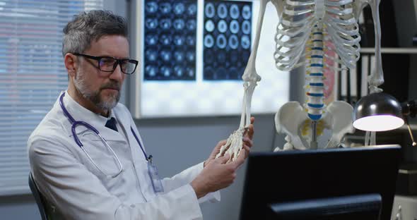 Doctor Using Skeleton Model for Analyzing Hand Anatomy