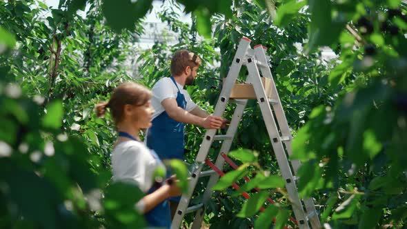 Agribusiness Partners Cultivating Food in Green Orchard Collecting Data Concept