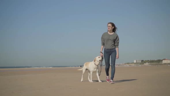 Calm Woman Walking with Pet on Sandy Beach and Looking at Sea