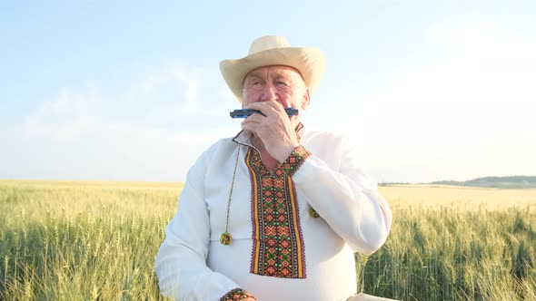 An Elderly Ukrainian in an Embroidered Jacket Playing the Harmonica in the Middle of a Wheat Field