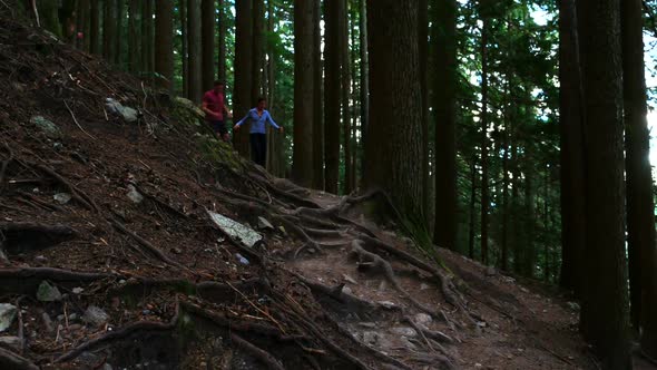 Hiker couple hiking in forest