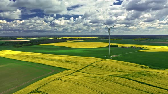 Blooming rape fields and wind turbine, aerial view of Poland