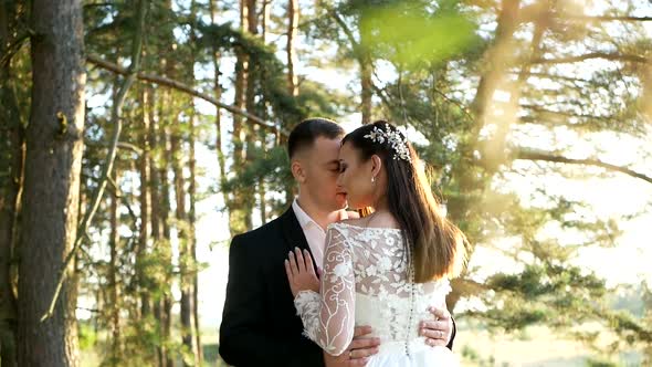 Wedding Day Newlyweds Walk Together Holding Hands