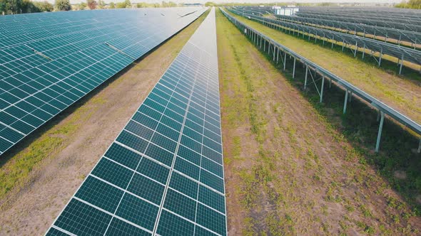 Solar Farm. Aerial View Solar Power Station. Panels Stand in Row on Green Field