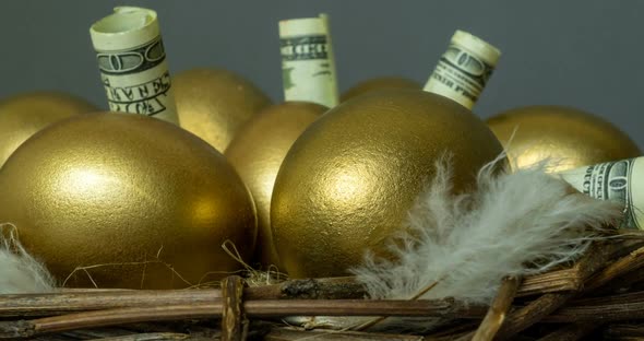 Golden Eggs in a Bird's Nest, with Banknotes, Concept of Investment, Retirement Savings