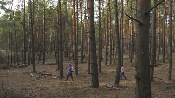 Family Walking At The Sunny Forest 4