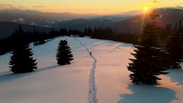 Aerial Flight Above Group of People Hiking in Mountain Forest Valley at Sunset