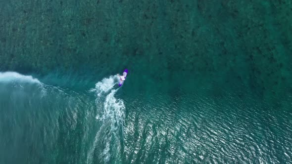 Surfers catches wave in purple surfboard at a beach in the Maldives islands then falls back, Aerial