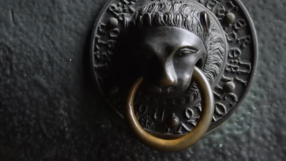 Lion Head Door Handle