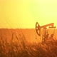 Silhouette of Oil Pumps in Large Oil Field at Sunrise. - VideoHive Item for Sale