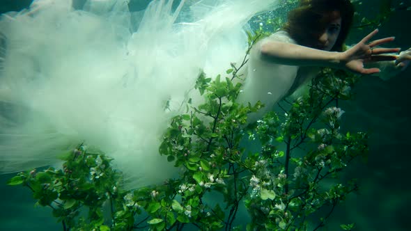 Beautiful Woman in White Dress is Swimming in Underwater Fabulous Garden Trees on Bottom