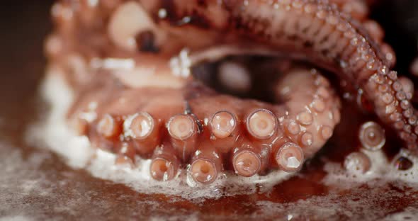 Boiled Octopus in Water with Air Bubbles