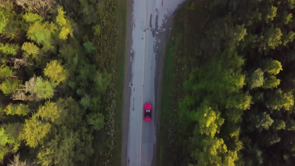 A red car drives down a long road between large trees