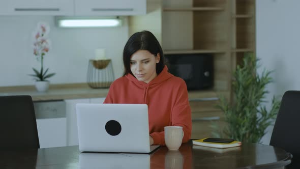 Concentrated casually dressed woman studying watching at screen working on computer
