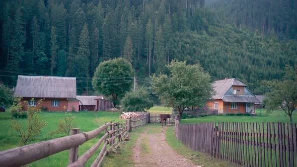 Morning In The Carpathians