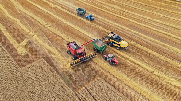 Agricultural machinery on the golden field. 