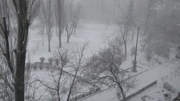 Winter Snow Blizzard Town Trees Fast Time Lapse. Cold Icy Weather and Season