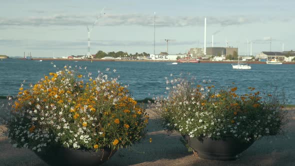 City Harbour, View From Waterfront