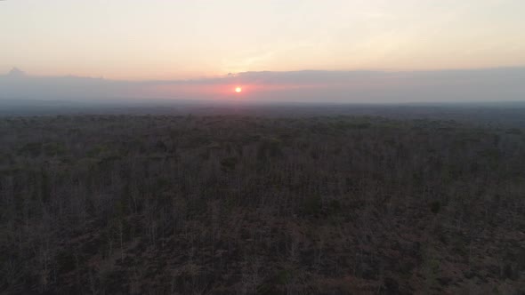 Sunset Over Savanna alt