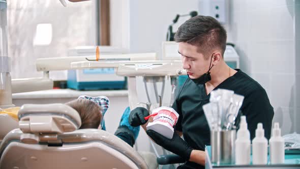 Young Man Dentist Showing How To Brush the Teeth on a Plastic Model of Human Jaws To a Little Boy