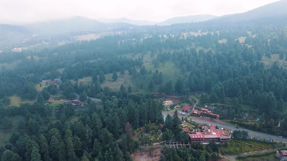 View of the woods near mexico city