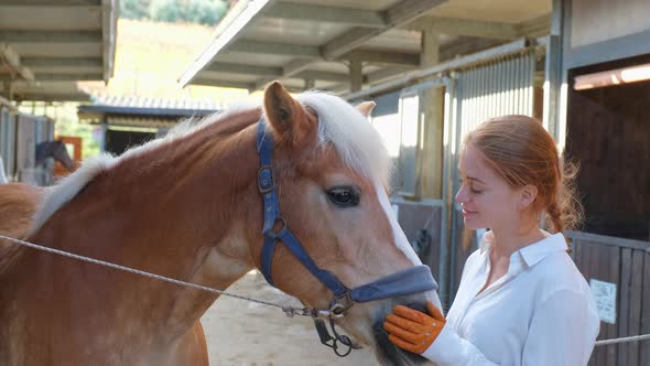 Young woman stroking horse in stable