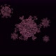 Virus - VideoHive Item for Sale