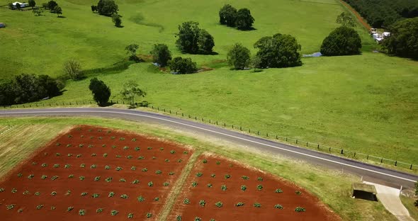 Aerial view of a red soil field and a grassland.