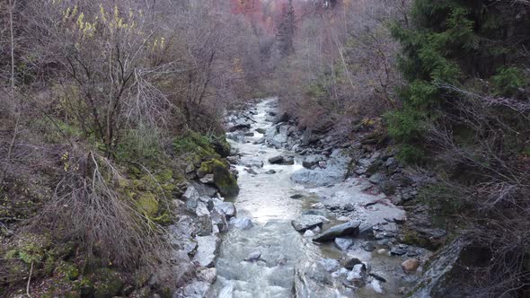 Drone Flying Over Small Mountain Creek in Fall Forest, Day, Dolly In.