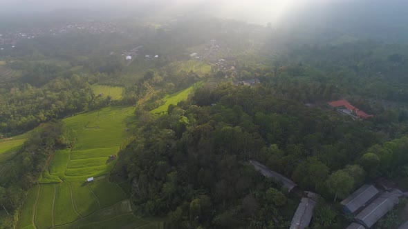 Farmlands and Village Bali Indonesia