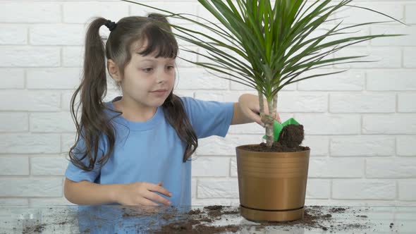 Gardening child indoor.