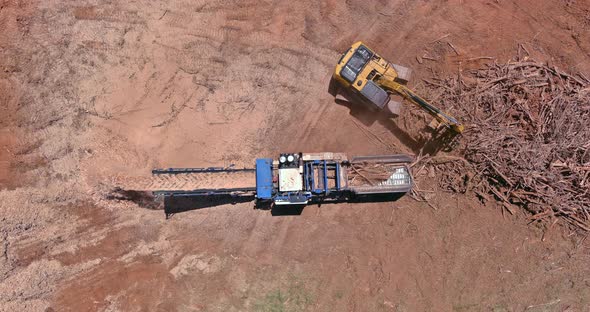 Wood Chipper Machine with Mulch an Work Conveyor the Roots Shredding