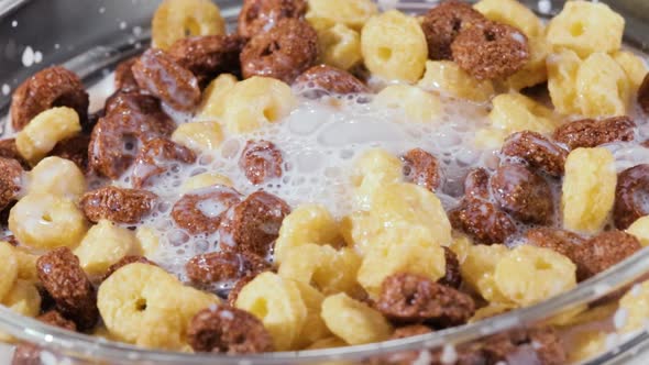 Breakfast Chocolate Corn Cereal in a Bowl with Milk