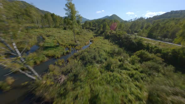 FPV Sports Drone Shot Flight Over Sunny Swamp Terrain Natural Mountain Valley Forest Trees