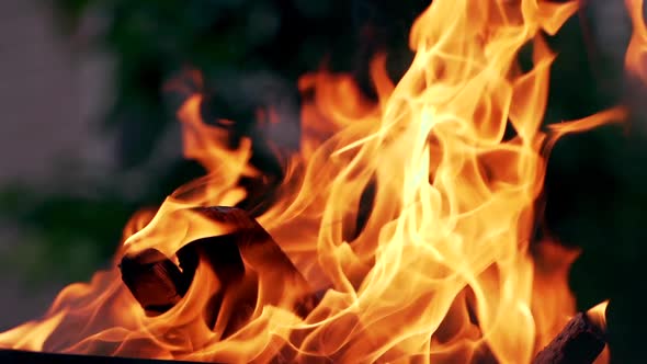 A burning bonfire on vacation during a hike in the forest.