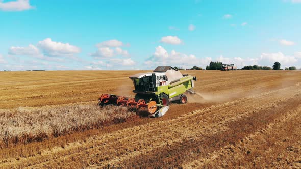 Harvesting of the Rye Field Is Getting Finished By the Combines