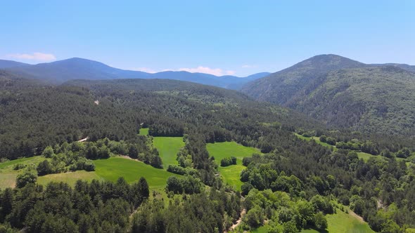 Turkey Bolu Forest