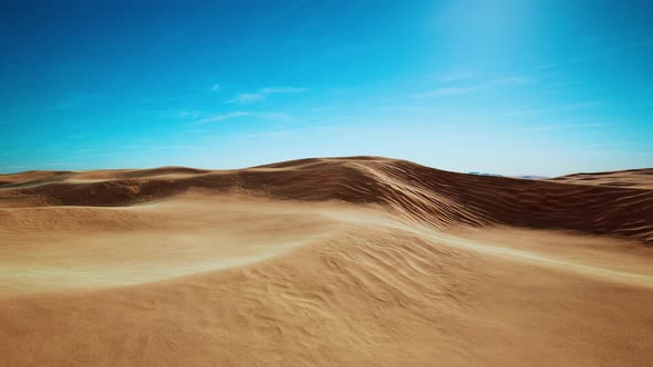 Wide and Wild Landscape of the Arabic Sand Desert